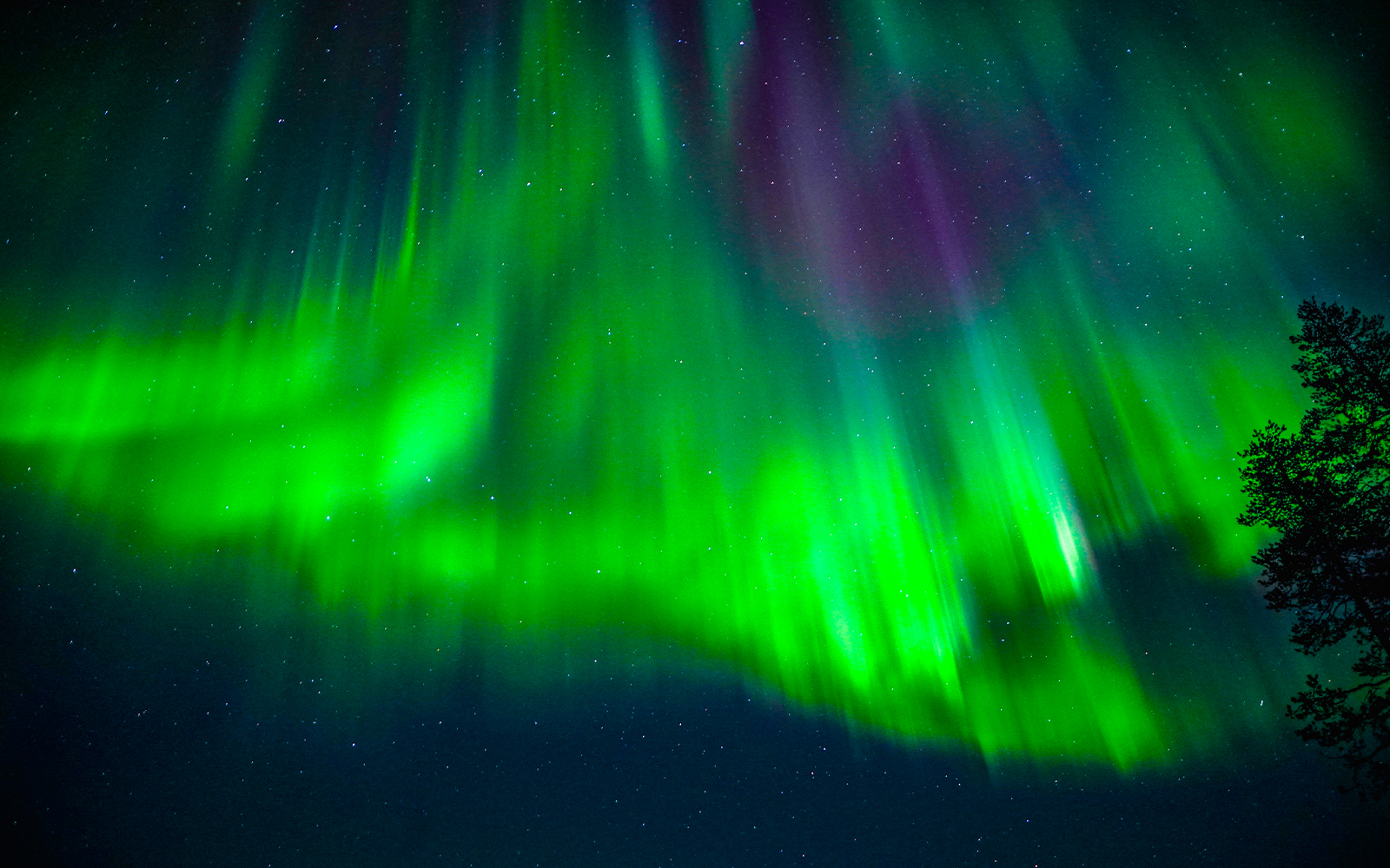 Northern Lights display over Rovaniemi night sky, Finland.