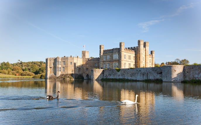 Leeds Castle with swans on the moat in Kent, England.