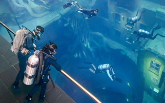 Divers exploring underwater ruins during the Sunken City Walk tour.
