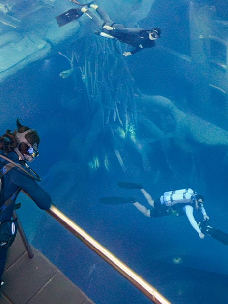 Divers exploring underwater ruins during the Sunken City Walk tour.