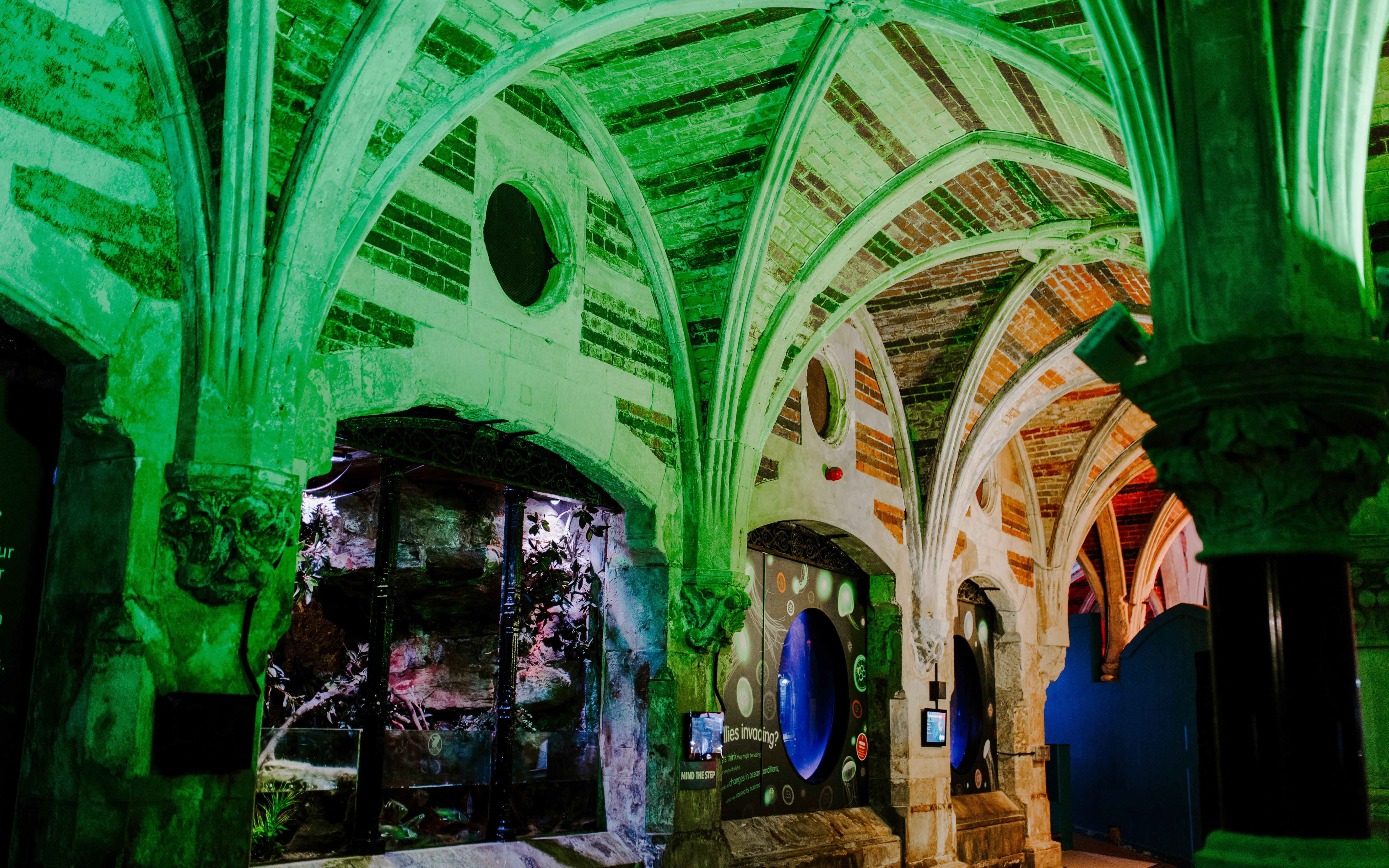 Gothic arches and illuminated displays inside SEA Life Brighton.