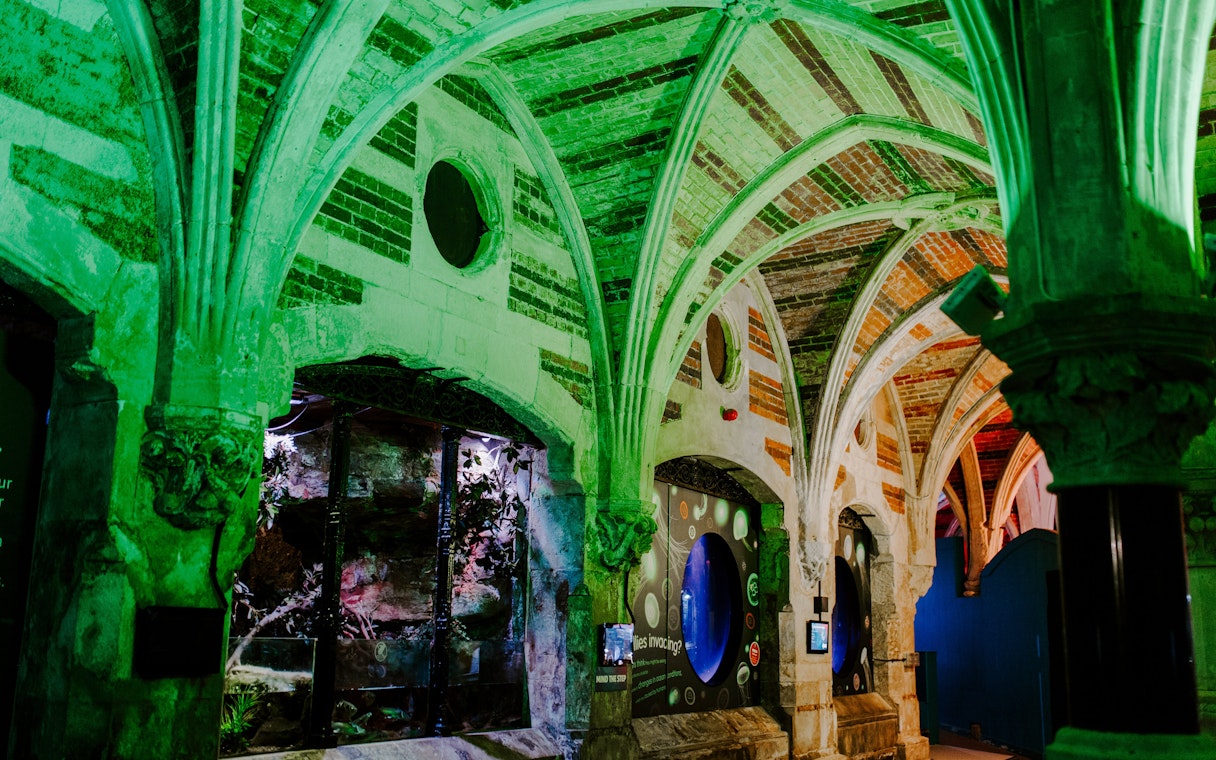 Gothic arches and illuminated displays inside SEA Life Brighton.
