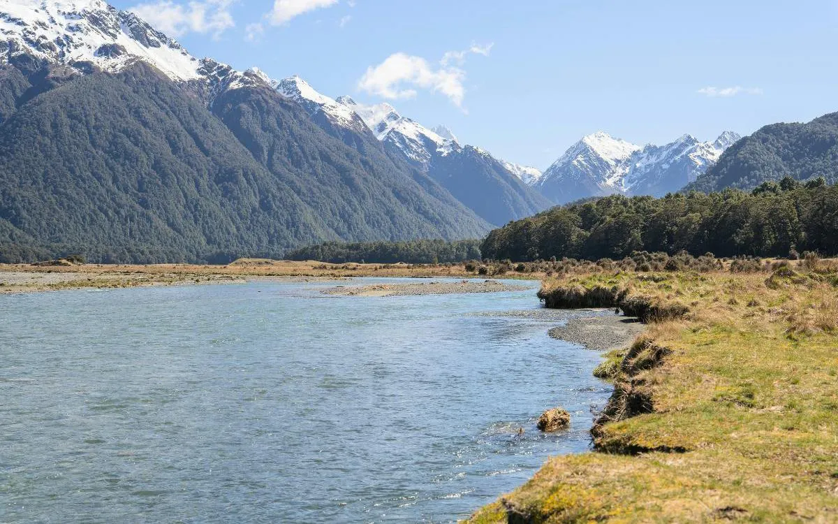 Milford Sound landscape with river, mountains, and forest, viewed from Te Anau departure.