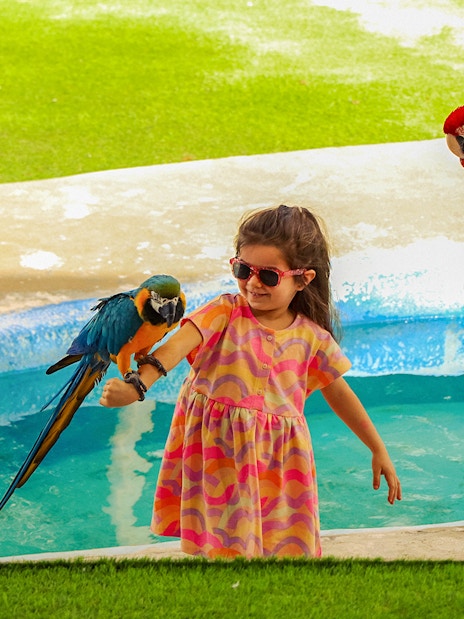 Child interacting with a blue macaw by a pool.