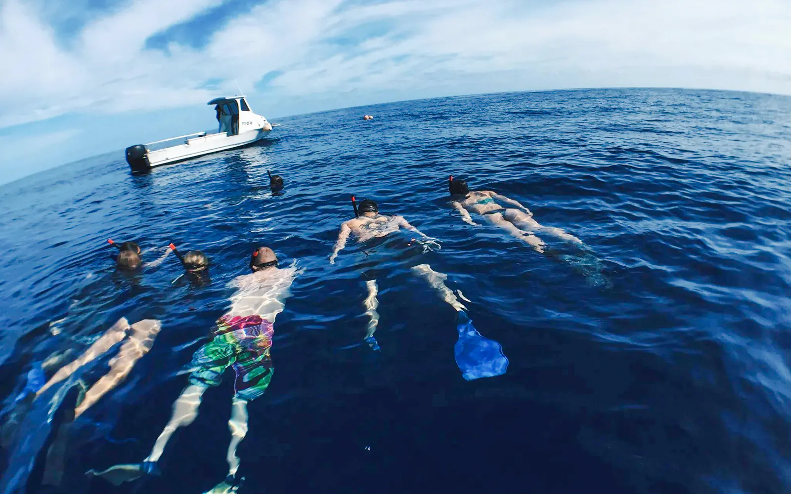 Snorkelers floating near a boat during O'ahu Shark Dive Tour.
