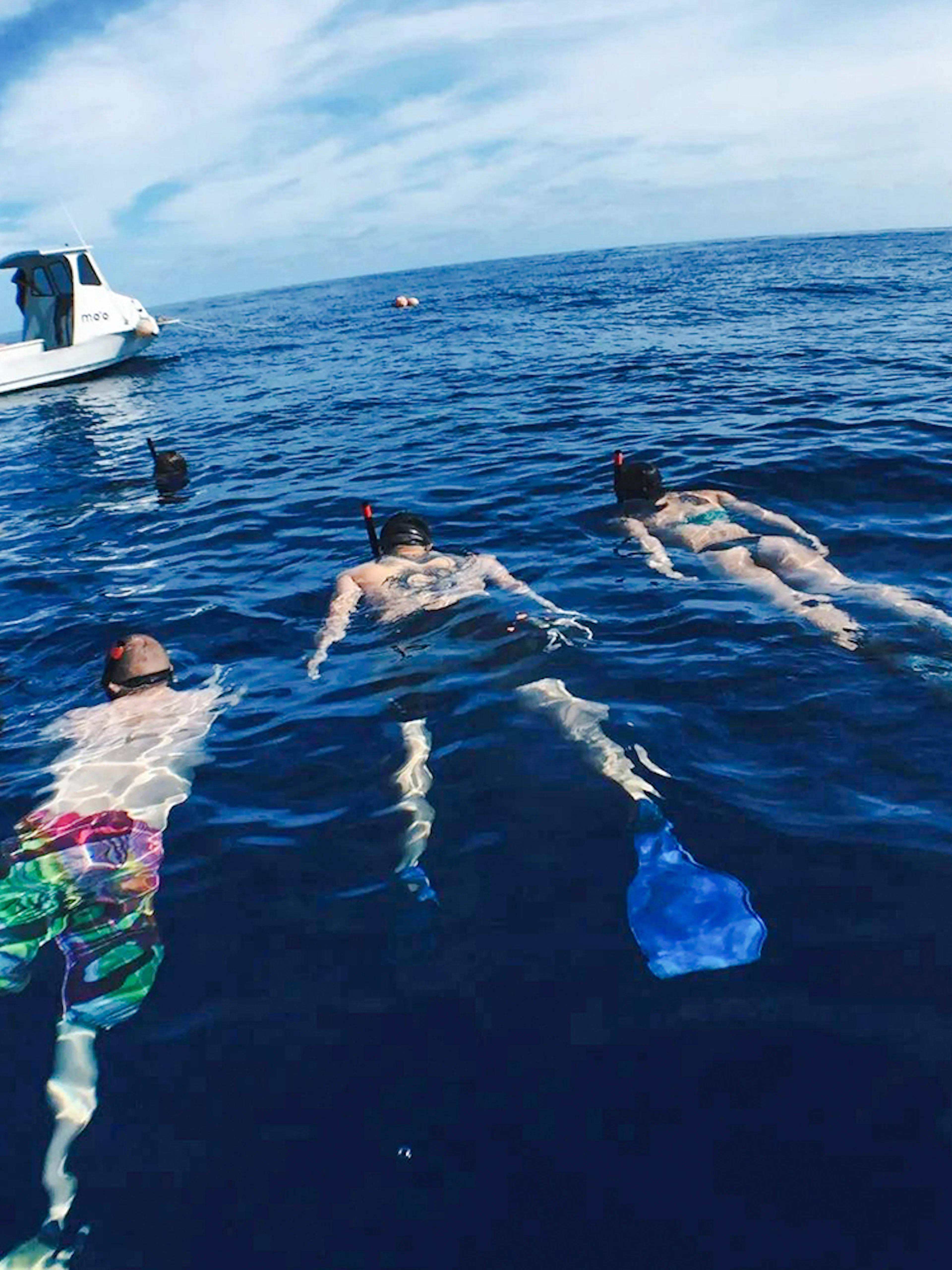 Snorkelers floating near a boat during O'ahu Shark Dive Tour.