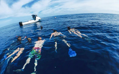 Snorkelers floating near a boat during O'ahu Shark Dive Tour.
