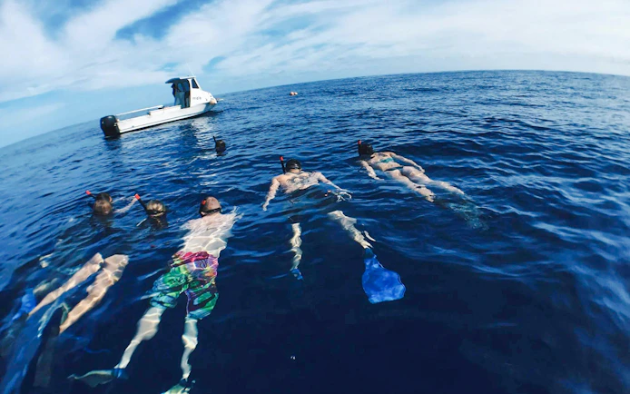 Snorkelers floating near a boat during O'ahu Shark Dive Tour.