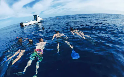 Snorkelers floating near a boat during O'ahu Shark Dive Tour.