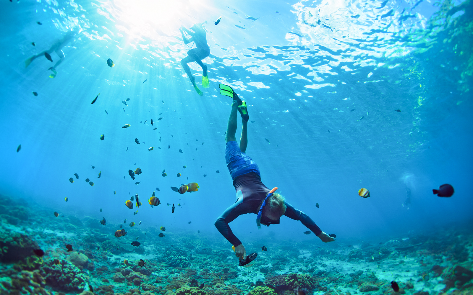 Snorkeler exploring coral reef with fish in Lanaʻi, Hawaii.