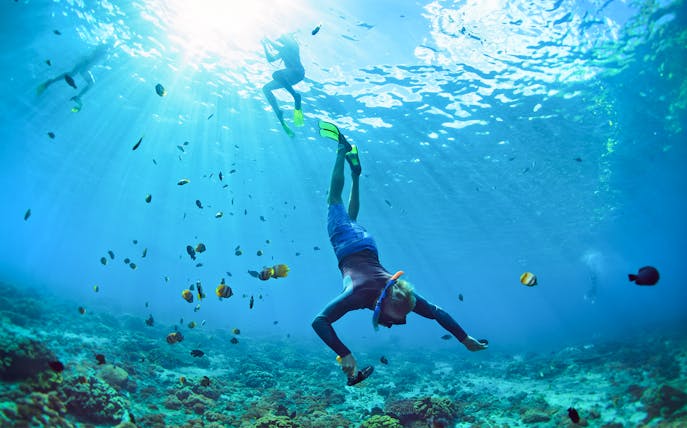 Snorkeler exploring coral reef with fish in Lanaʻi, Hawaii.