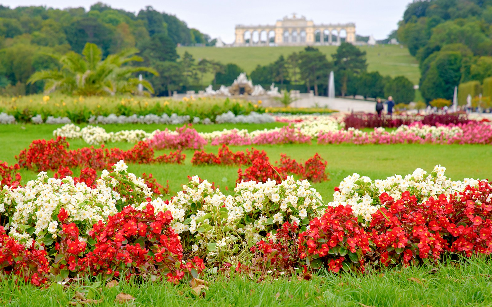 Flowers and gardens with the Gloriette in the background at Schonbrunn Palace gardens.