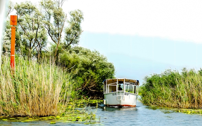 Boat navigating through reeds on Lake Skadar, Montenegro.