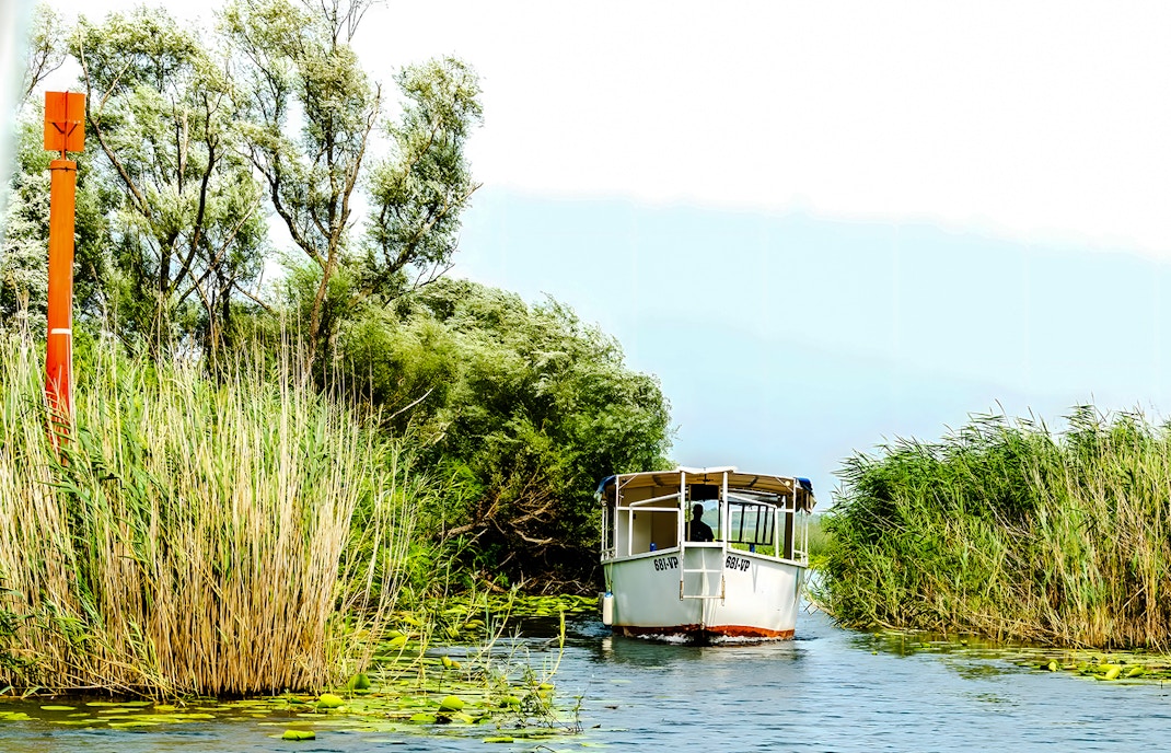 Boat navigating through reeds on Lake Skadar, Montenegro.