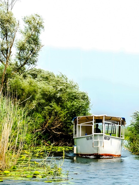 Boat navigating through reeds on Lake Skadar, Montenegro.