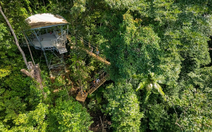Zipline platforms in Daintree Rainforest canopy tour.