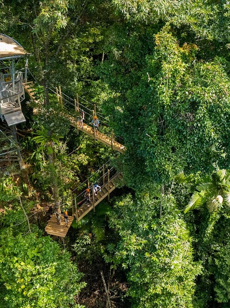 Zipline platforms in Daintree Rainforest canopy tour.