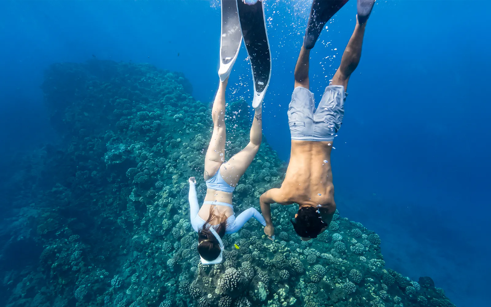 Snorkelers exploring coral reef during Kaula Kai Snorkel Sail, Oahu.