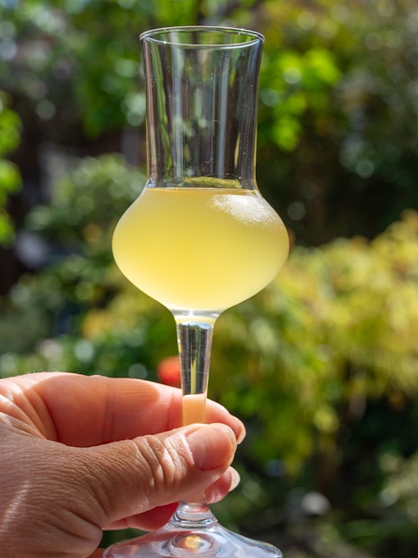 Hand holding a glass of limoncello in a sunny Amalfi garden.
