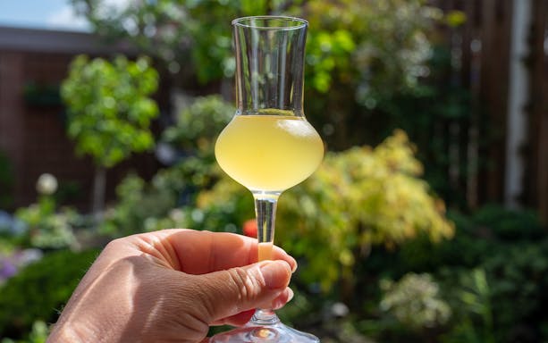 Hand holding a glass of limoncello in a sunny Amalfi garden.