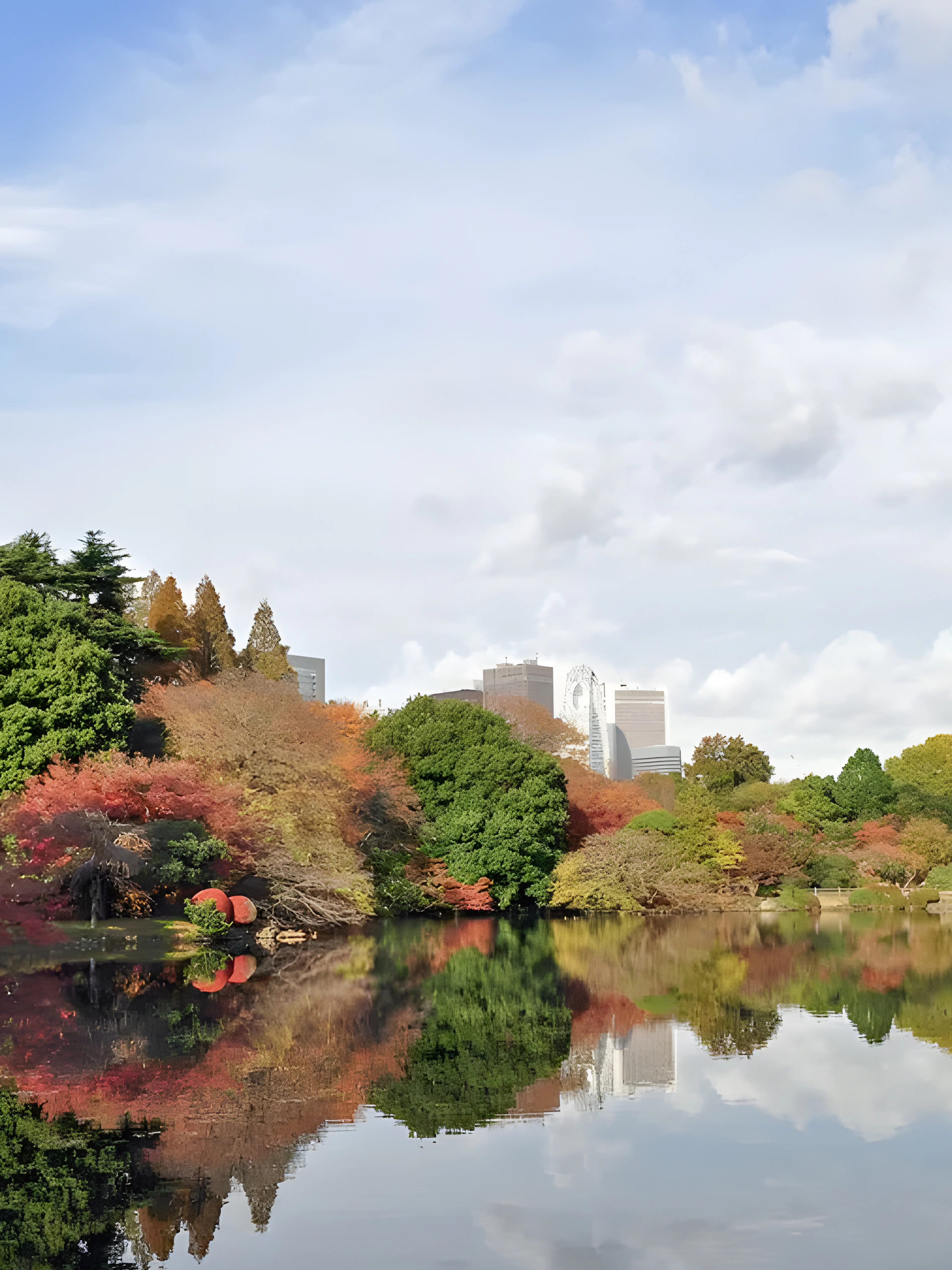 Shinjuku Gyoen garden with autumn foliage and city skyline in Tokyo, Japan.