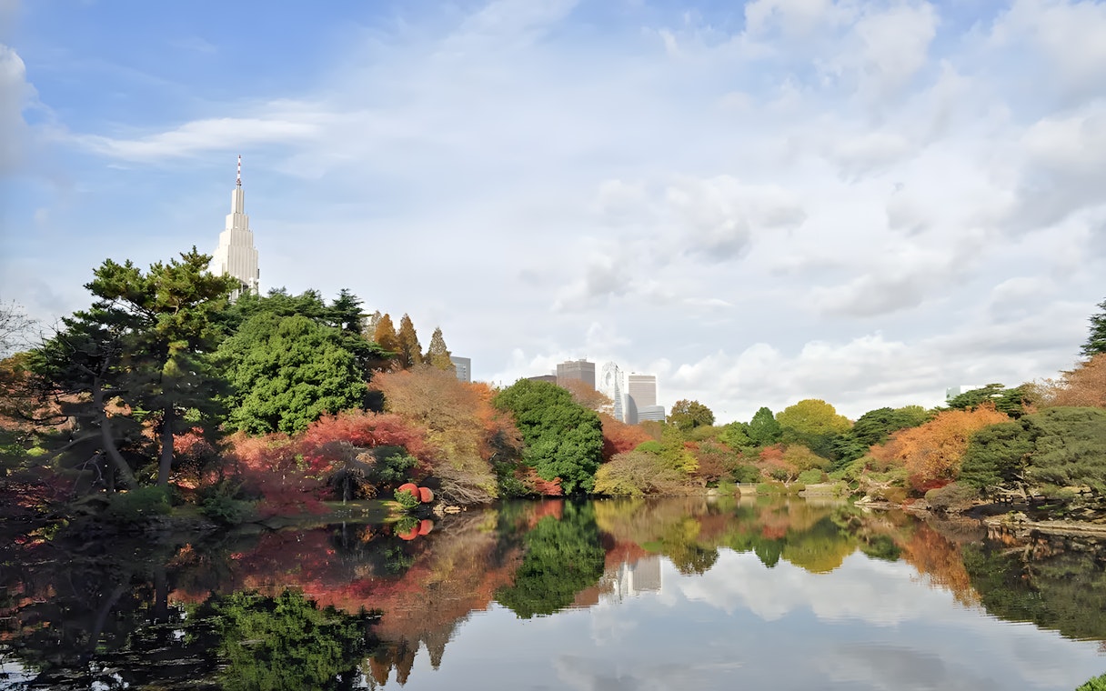 Shinjuku Gyoen garden with autumn foliage and city skyline in Tokyo, Japan.