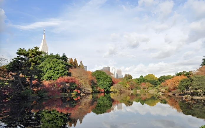 Shinjuku Gyoen garden with autumn foliage and city skyline in Tokyo, Japan.