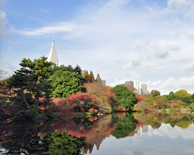 Admission Tickets to Shinjuku Gyoen National Garden