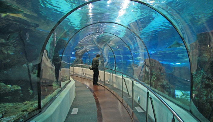 Barcelona Aquarium