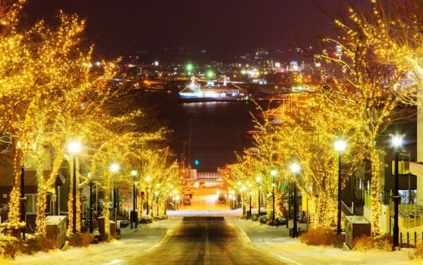 Night view of Hakodate with illuminated trees and a distant ferry, seen from a snowy street.