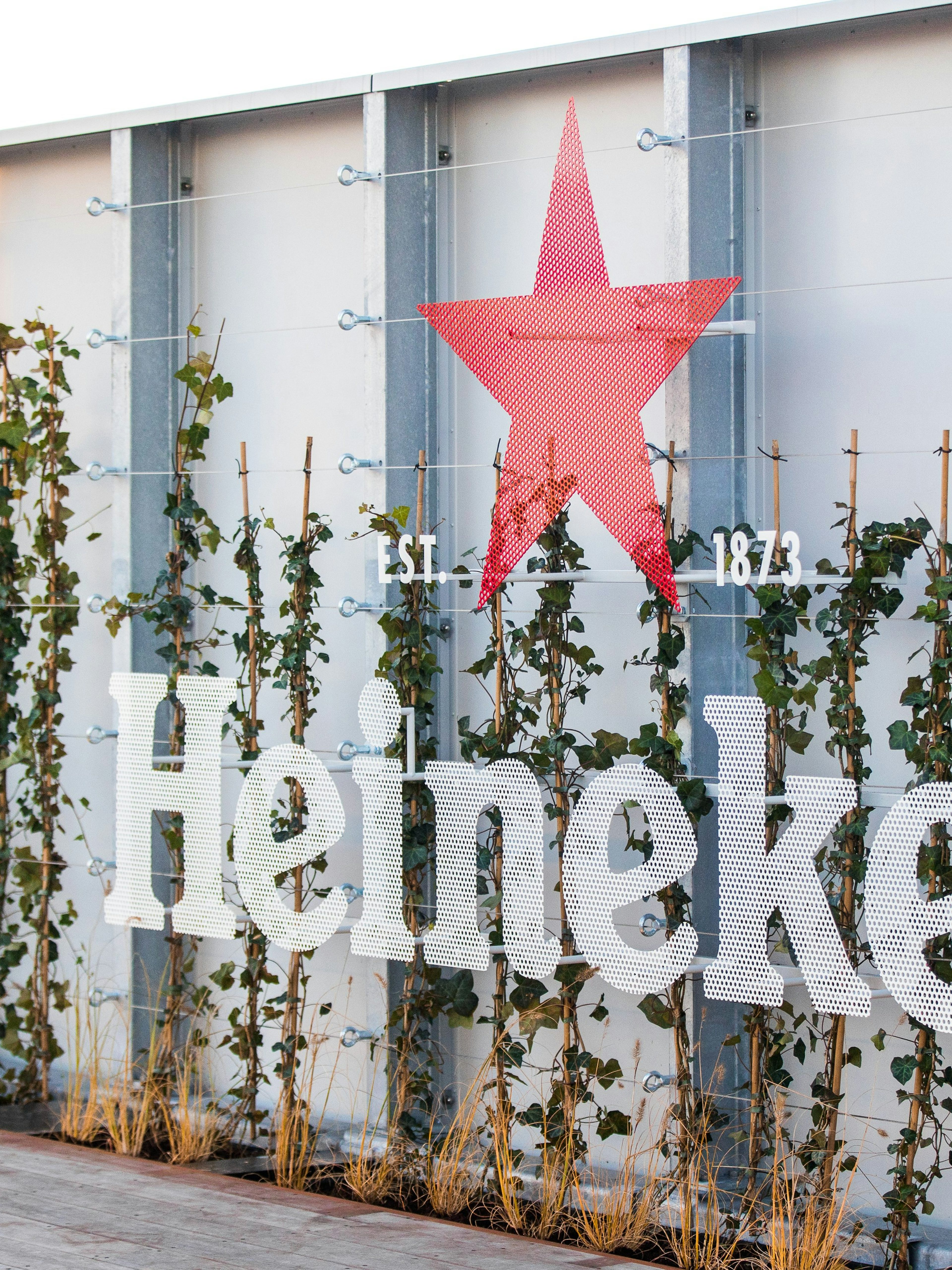 Heineken logo on rooftop with ivy-covered wall, Amsterdam experience.