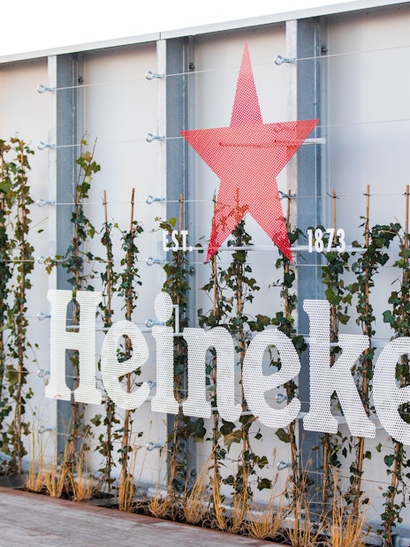 Heineken logo on rooftop with ivy-covered wall, Amsterdam experience.