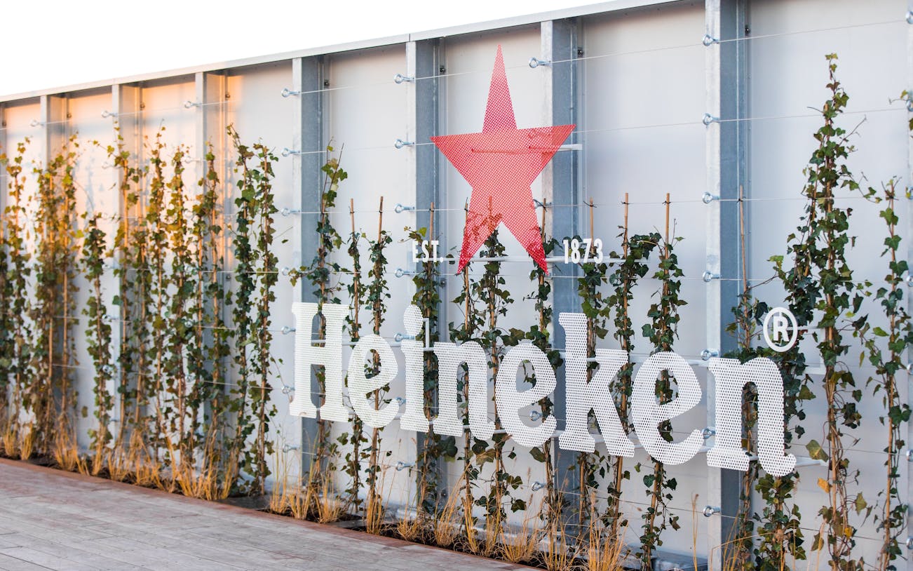 Heineken logo on rooftop with ivy-covered wall, Amsterdam experience.