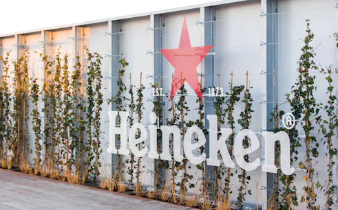 Heineken logo on rooftop with ivy-covered wall, Amsterdam experience.
