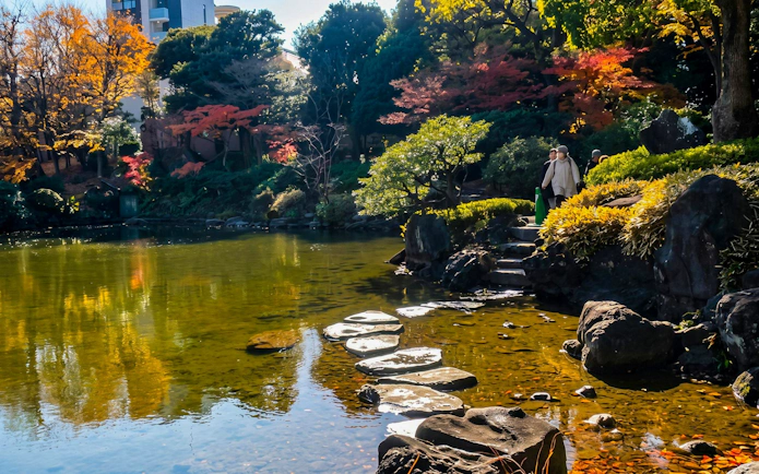 Strolling pond with decorative stones and autumn foliage at Kiyosumi Gardens, Tokyo.
