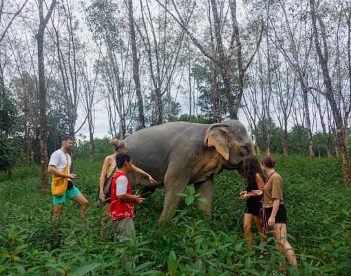 Visitors walking with an elephant at Khaolak Ethical Elephant Sanctuary.