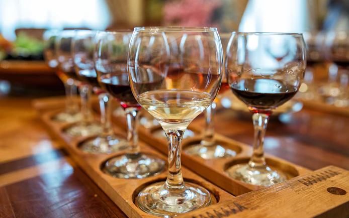 Different types of wine glasses arranged on a wooden tray.