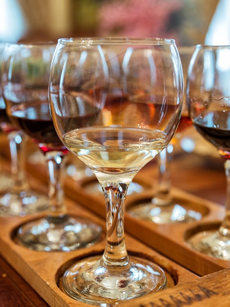 Different types of wine glasses arranged on a wooden tray.