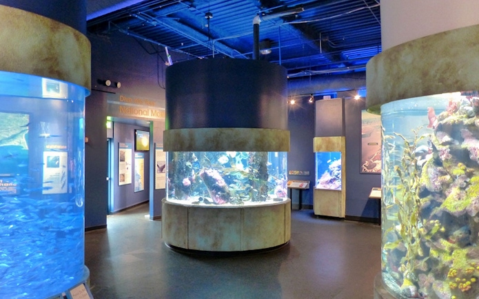 Aquarium of the Bay interior with large cylindrical tanks displaying marine life.