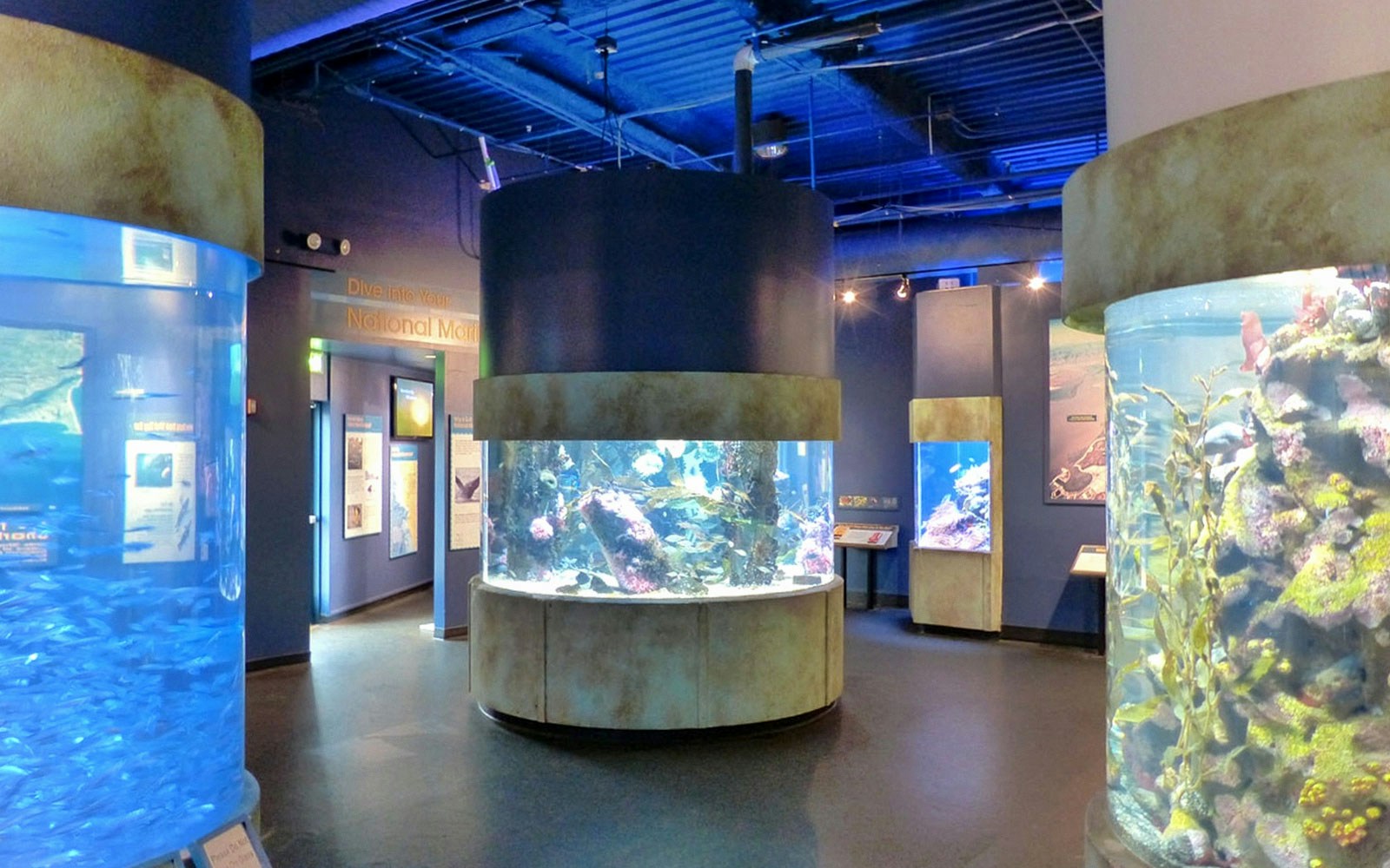 Aquarium of the Bay