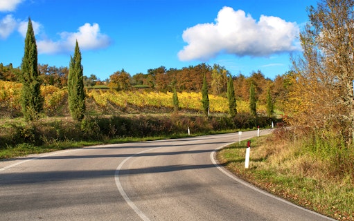 Winding road through vineyards on Via Chiantigiana, Tuscany.