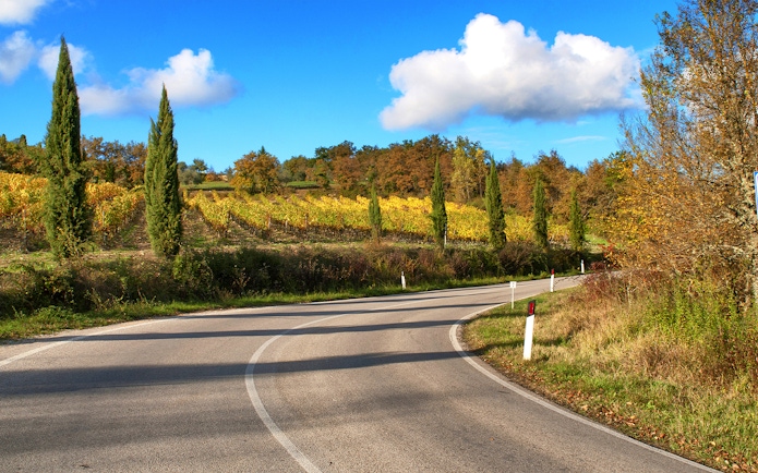 Winding road through vineyards on Via Chiantigiana, Tuscany.