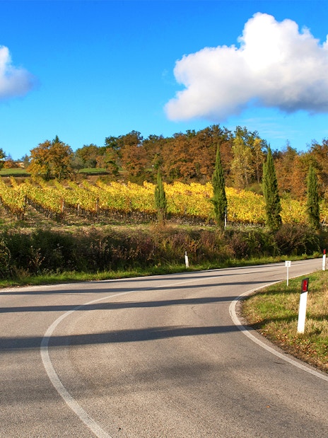 Winding road through vineyards on Via Chiantigiana, Tuscany.