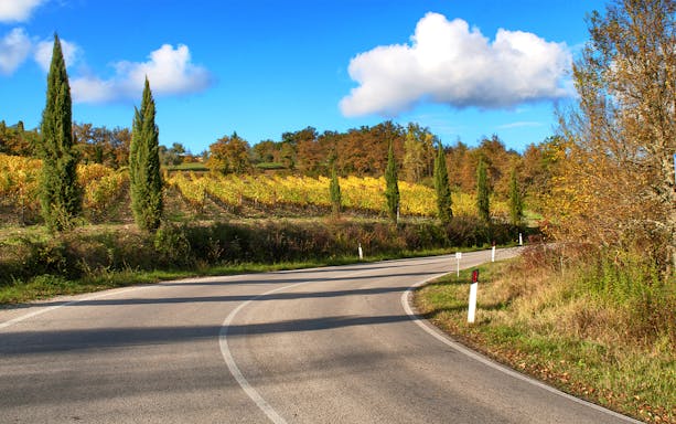 Winding road through vineyards on Via Chiantigiana, Tuscany.