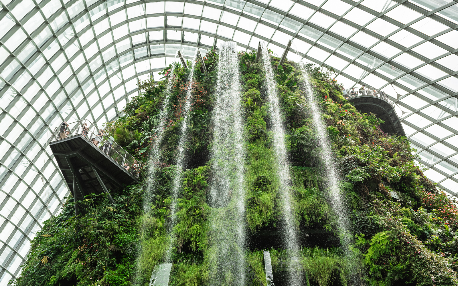 Mist Garden in Singapore