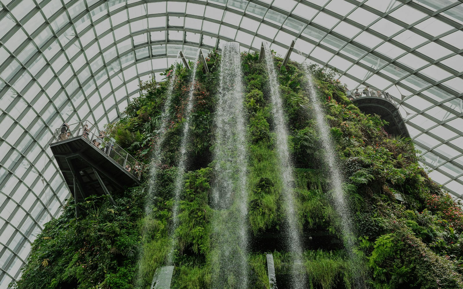 Mist Garden in Singapore