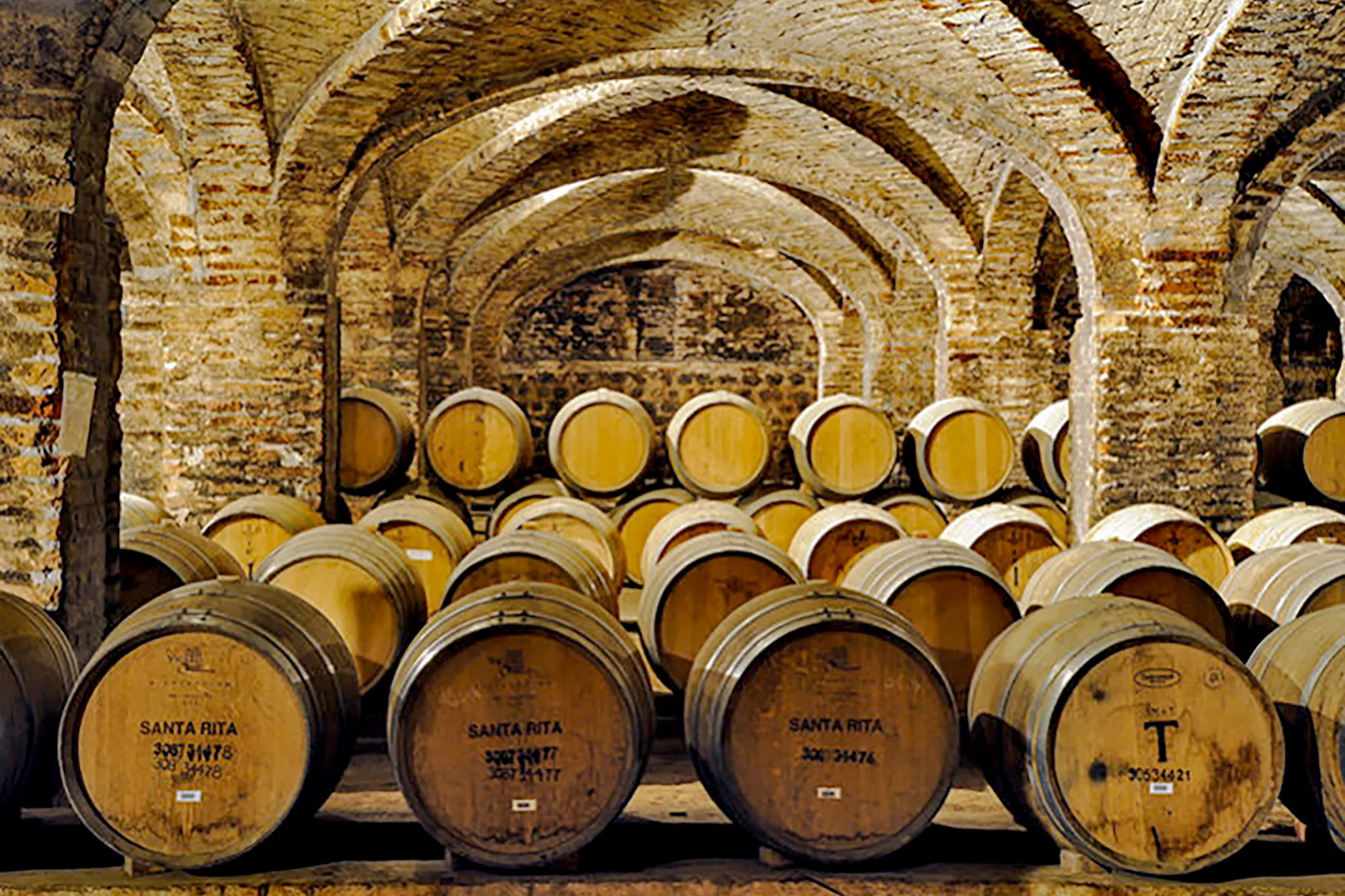 Barrels in the Santa Rita Vineyard cellar, Santiago tour.