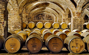 Barrels in the Santa Rita Vineyard cellar, Santiago tour.