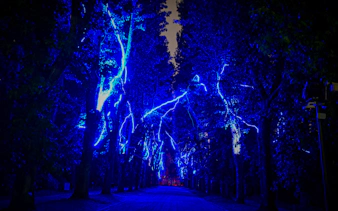 „serralves in light 2026“ – tickets-3
