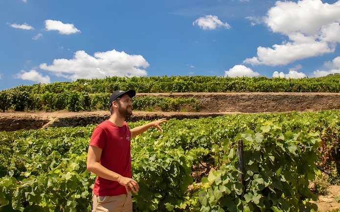 Guide explaining vineyard field to tourist under blue sky.